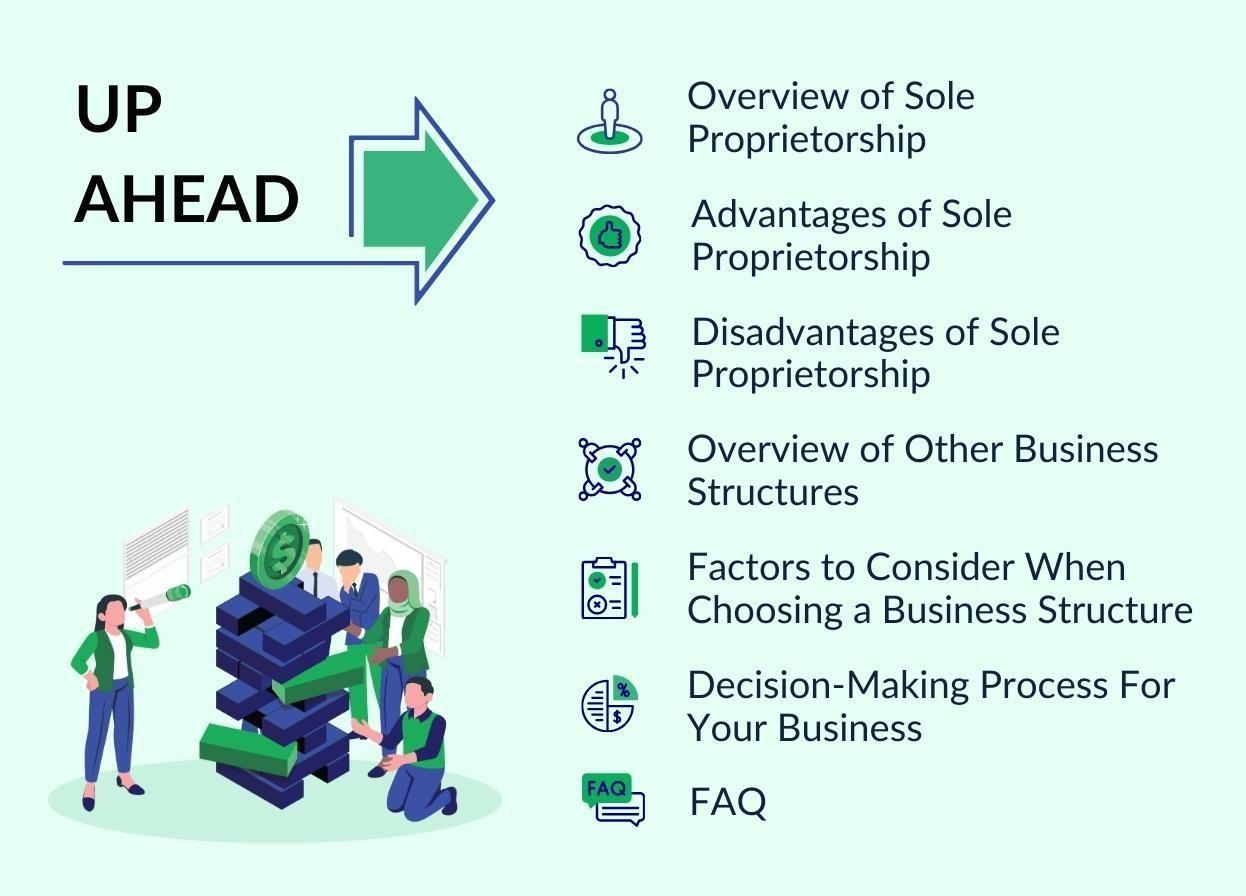 Sole Proprietorship vs. Private Limited Company/Partnership/LLP